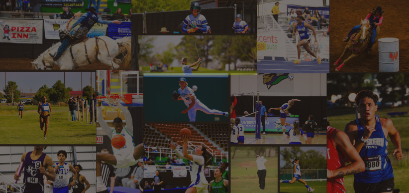 PHOTO GALLERIES